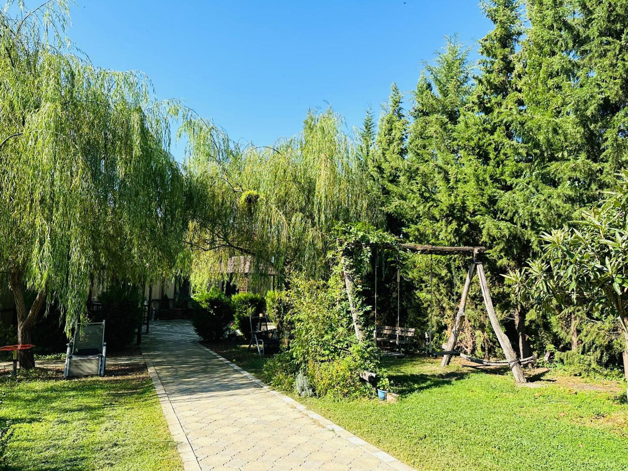 Green House Kvareli Kültér fotó